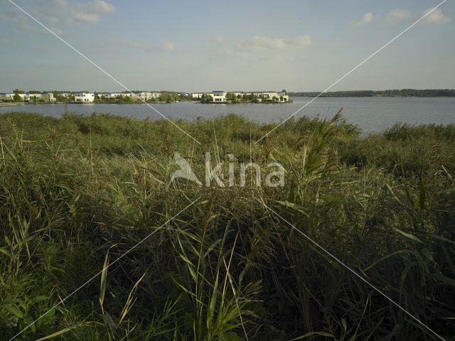 Lelystad