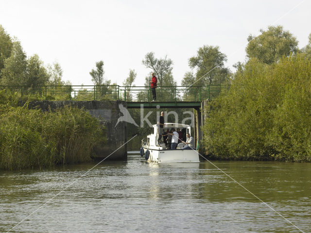 National Park de Biesbosch