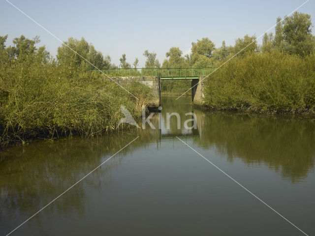 Nationaal Park de Biesbosch