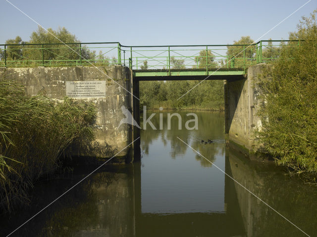 Nationaal Park de Biesbosch