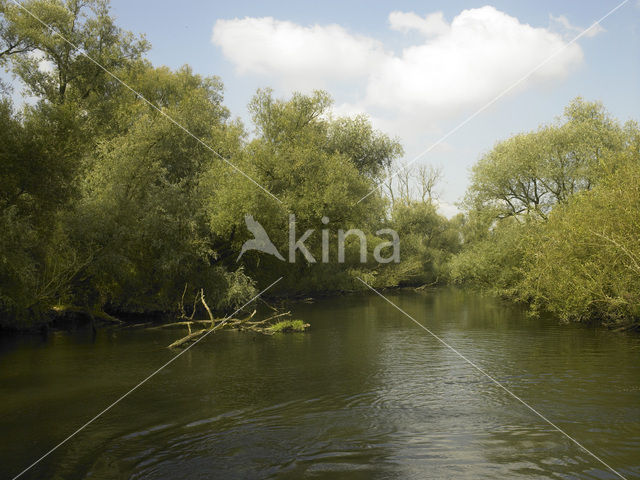 Nationaal Park de Biesbosch