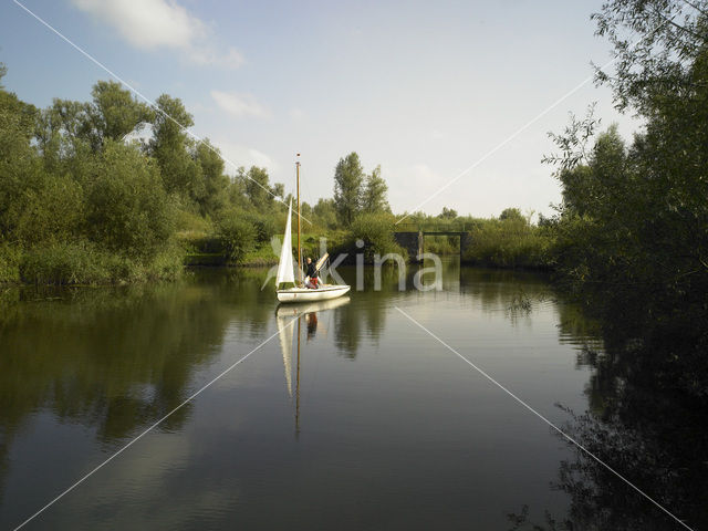 Nationaal Park de Biesbosch