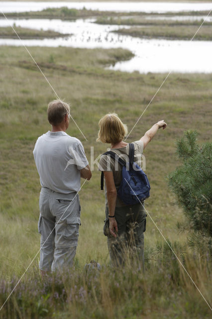 National Park de Maasduinen