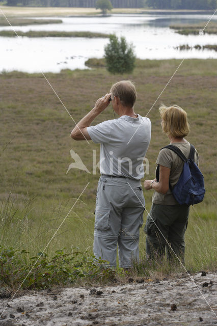 Nationaal Park De Maasduinen