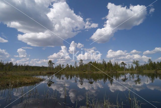 Nationaal Park Fulufjället