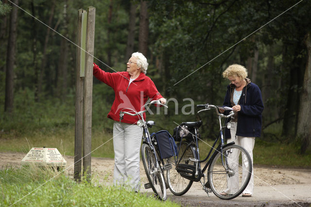 Nationaal Park Sallandse Heuvelrug