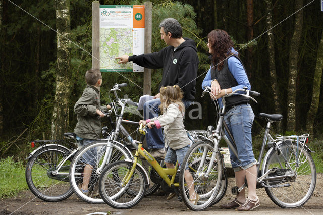 Nationaal Park Sallandse Heuvelrug