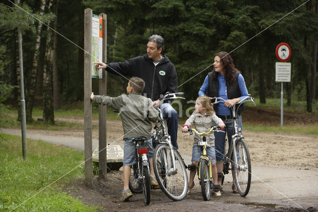 Nationaal Park Sallandse Heuvelrug