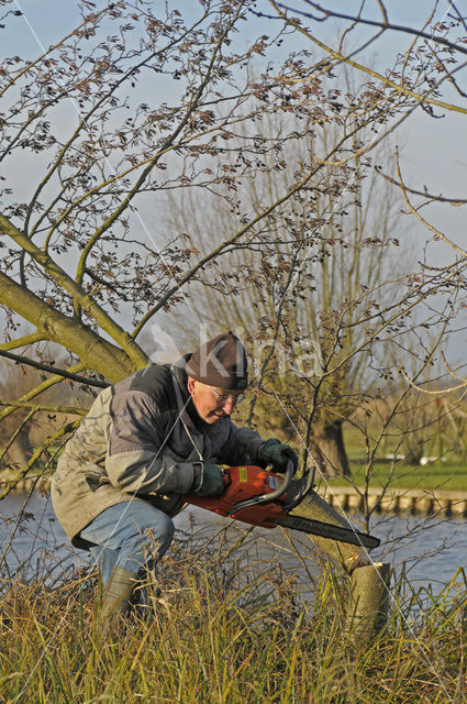 National Park Weerribben-Wieden