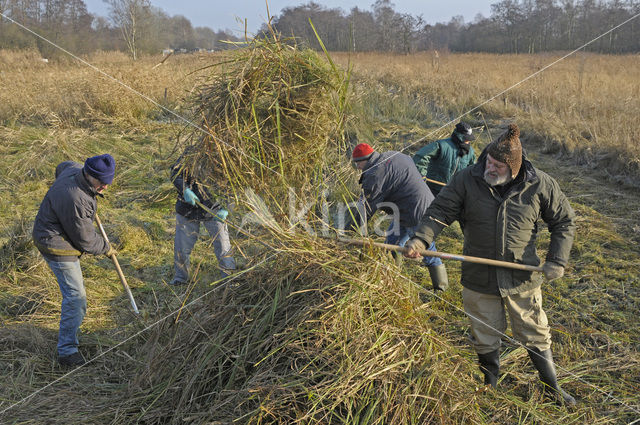 Nationaal Park Weerribben-Wieden