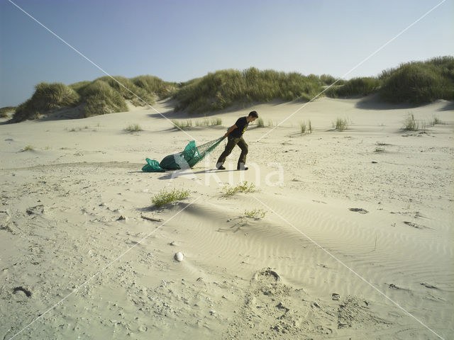 Northsea beach