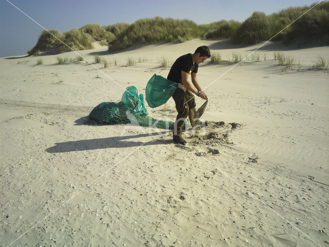 Northsea beach