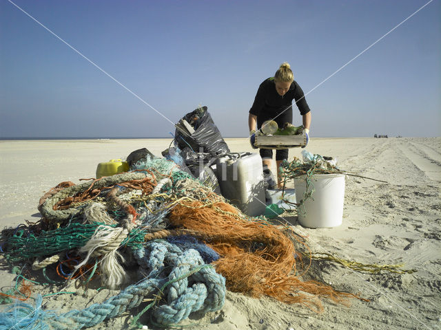 Northsea beach