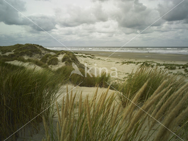 Noordzee