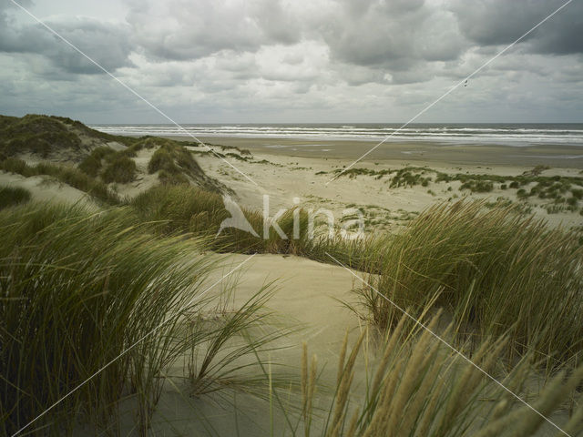 Northsea beach