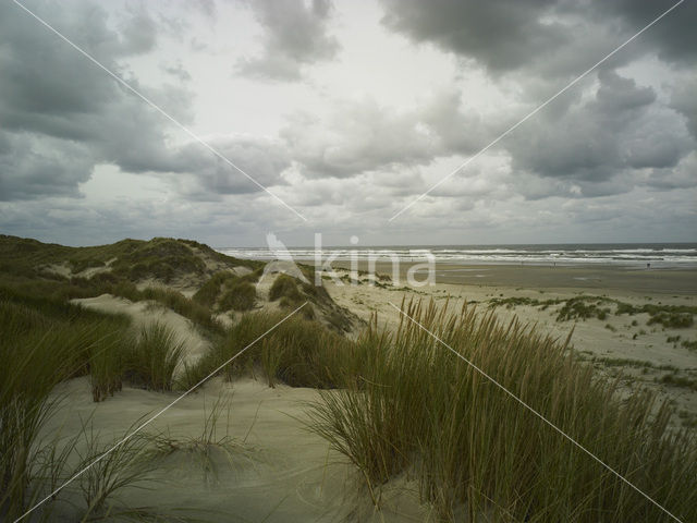 Noordzee