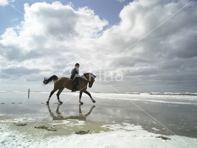 Northsea beach