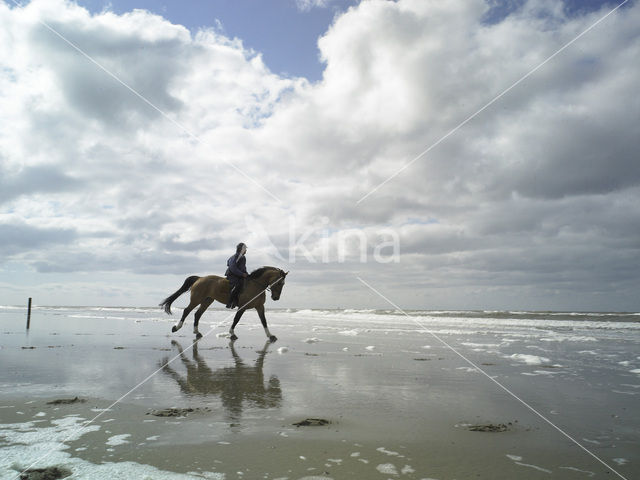 Noordzeestrand