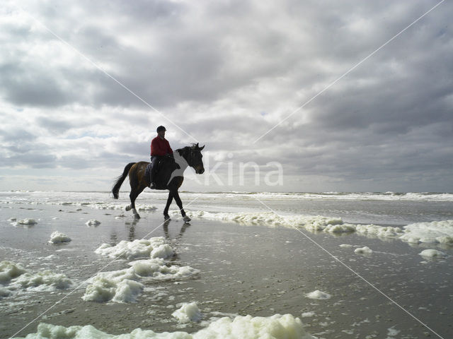 Northsea beach