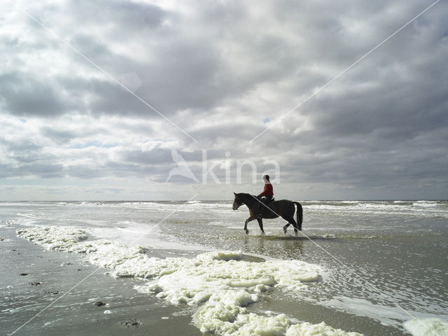 Noordzeestrand