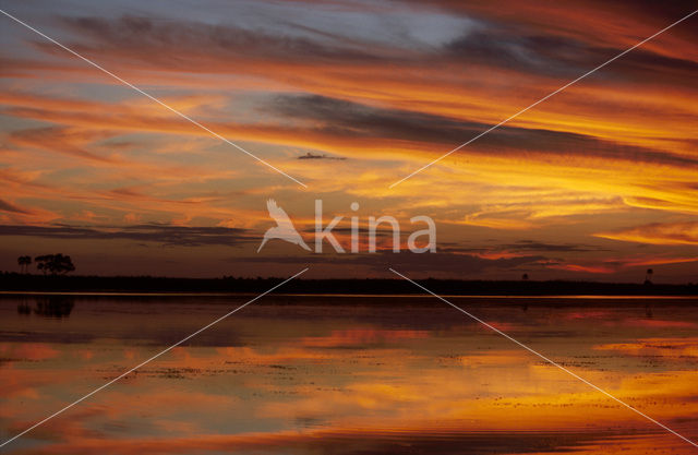 Okavango delta