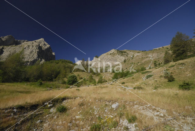 Parc National du Mercantour