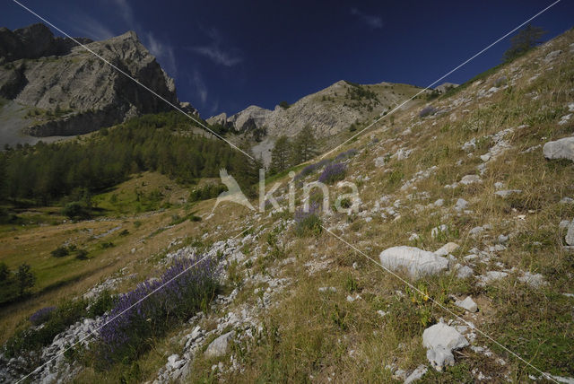 Parc National du Mercantour