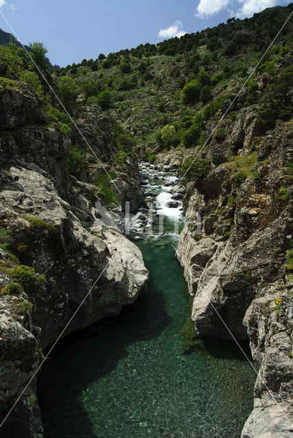 Parc naturel régional de Corse