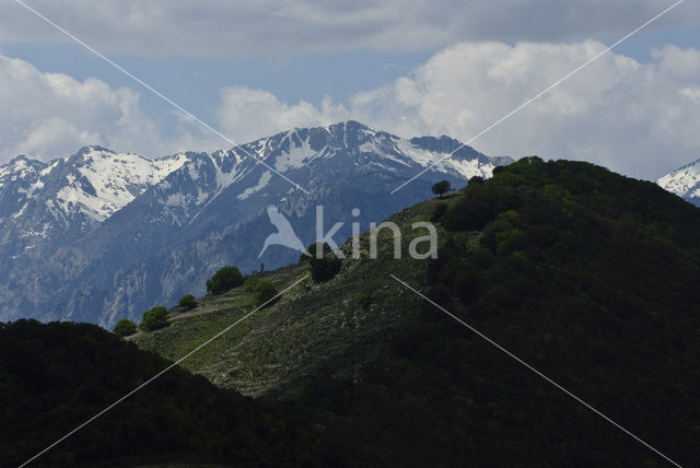 Santa-Lucia-di-Mercurio