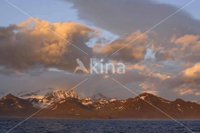 South Georgia