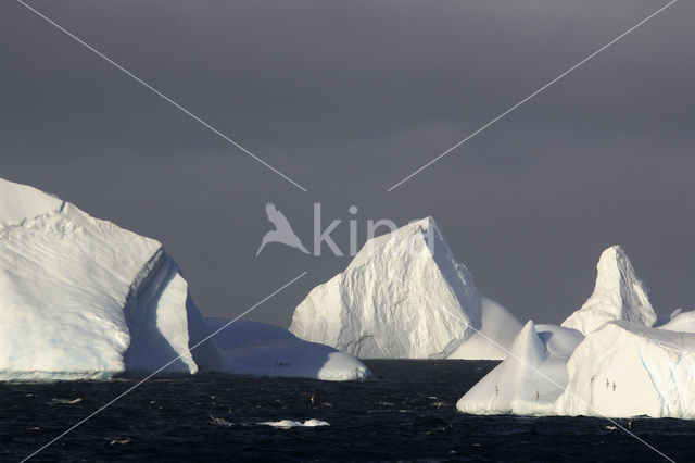 South Shetland islands