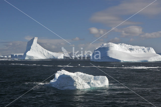 South Shetland islands