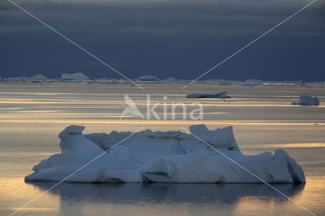 South Shetland islands