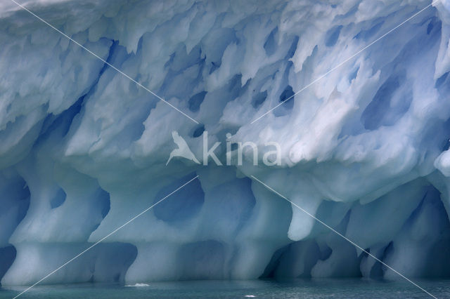 South Shetland islands