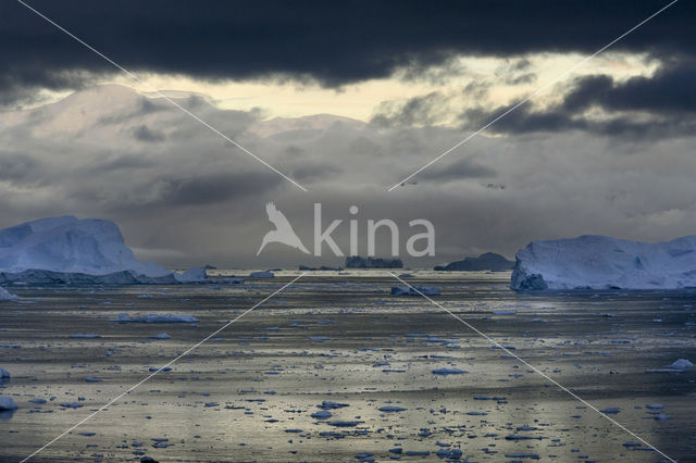 South Shetland islands