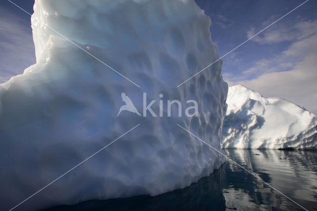 South Shetland islands