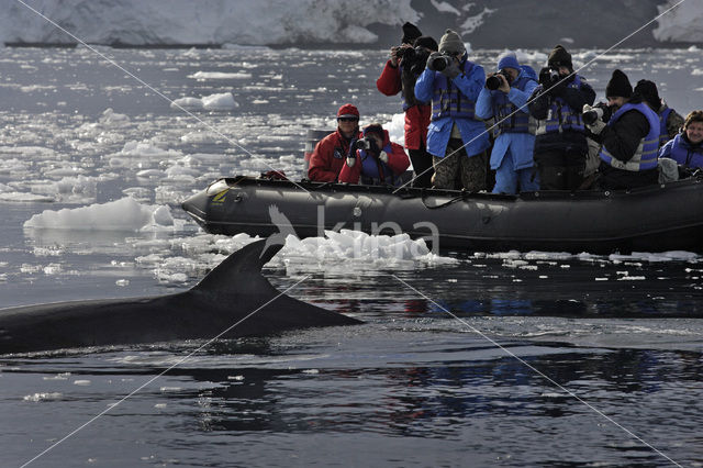 South Shetland islands