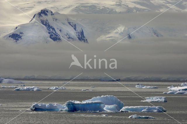 South Shetland islands