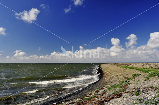 Waddensea