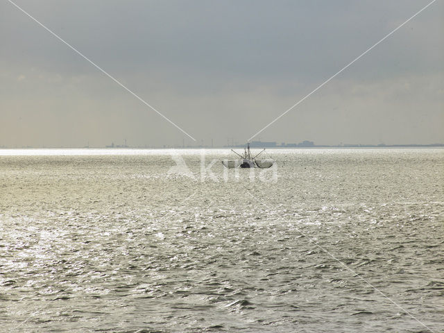 Waddensea