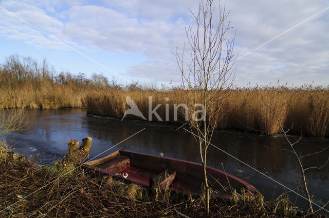 Alblasserwaard en Vijfheerenlanden