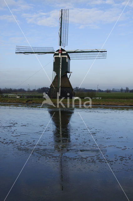 Bonkmolen