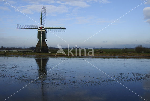 Bonkmolen