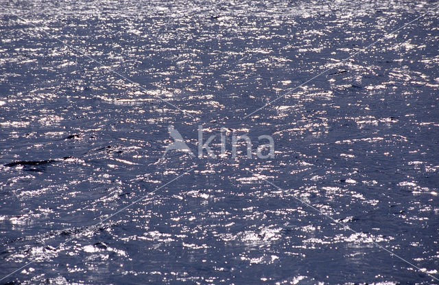Caribbean Sea