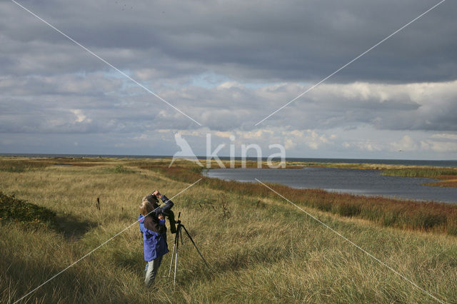 Falsterbo