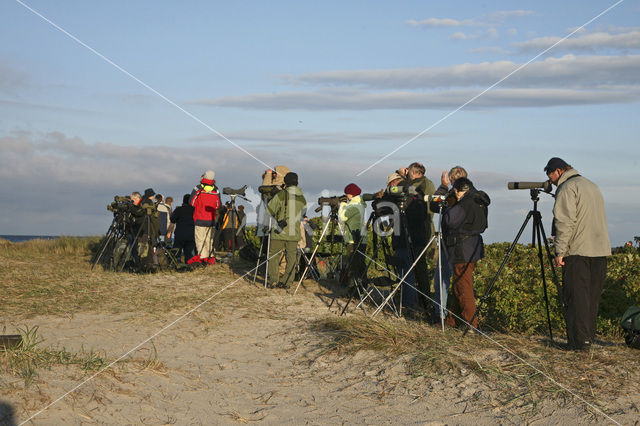 Falsterbo