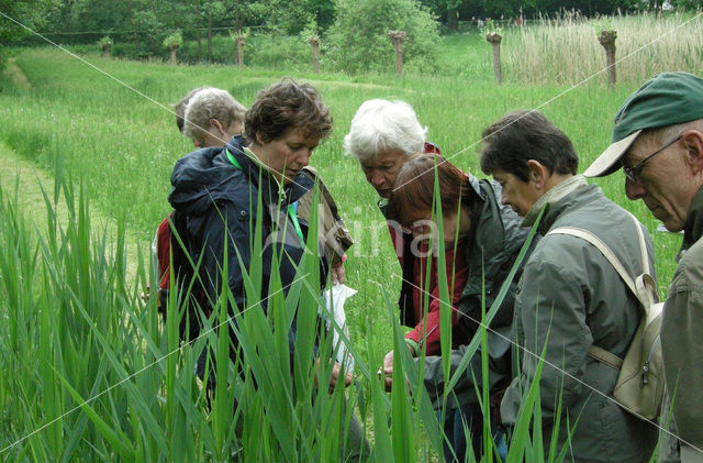 Heemtuin De Maten