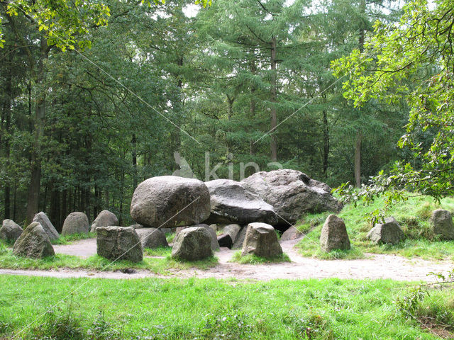 Dolmen D49