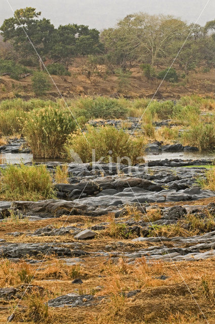 Kruger National Park