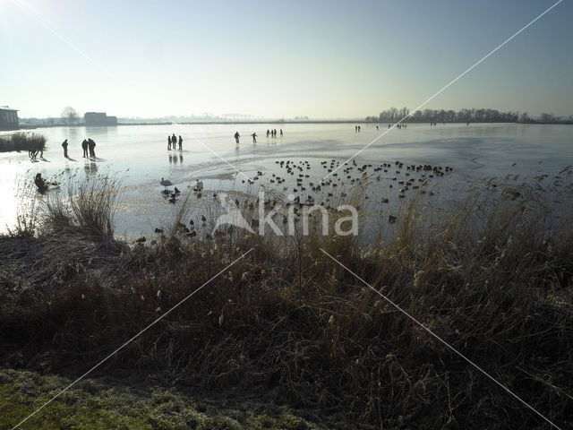 Markermeer